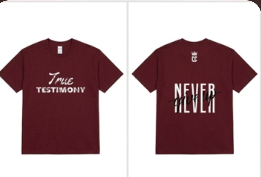 True Testimony Youth T-shirt (M) 8-10 Never Give up