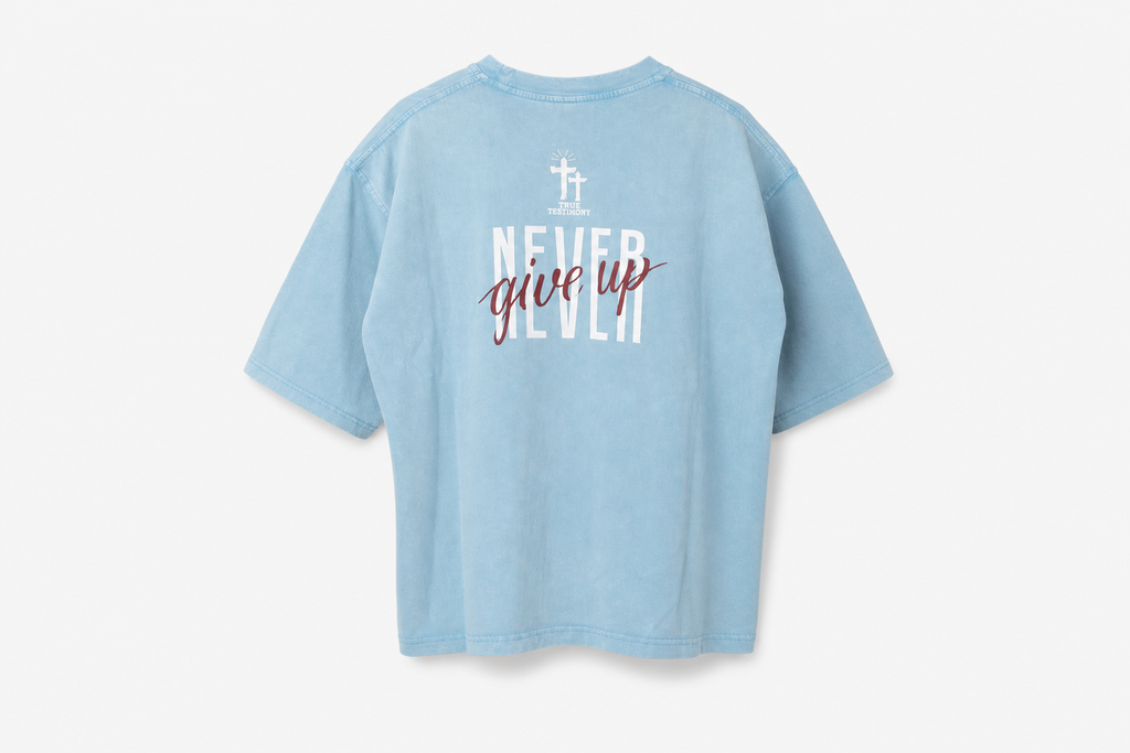 Sky Blue - True Testimony Washed Oversized Cropped T-Shirt - Back