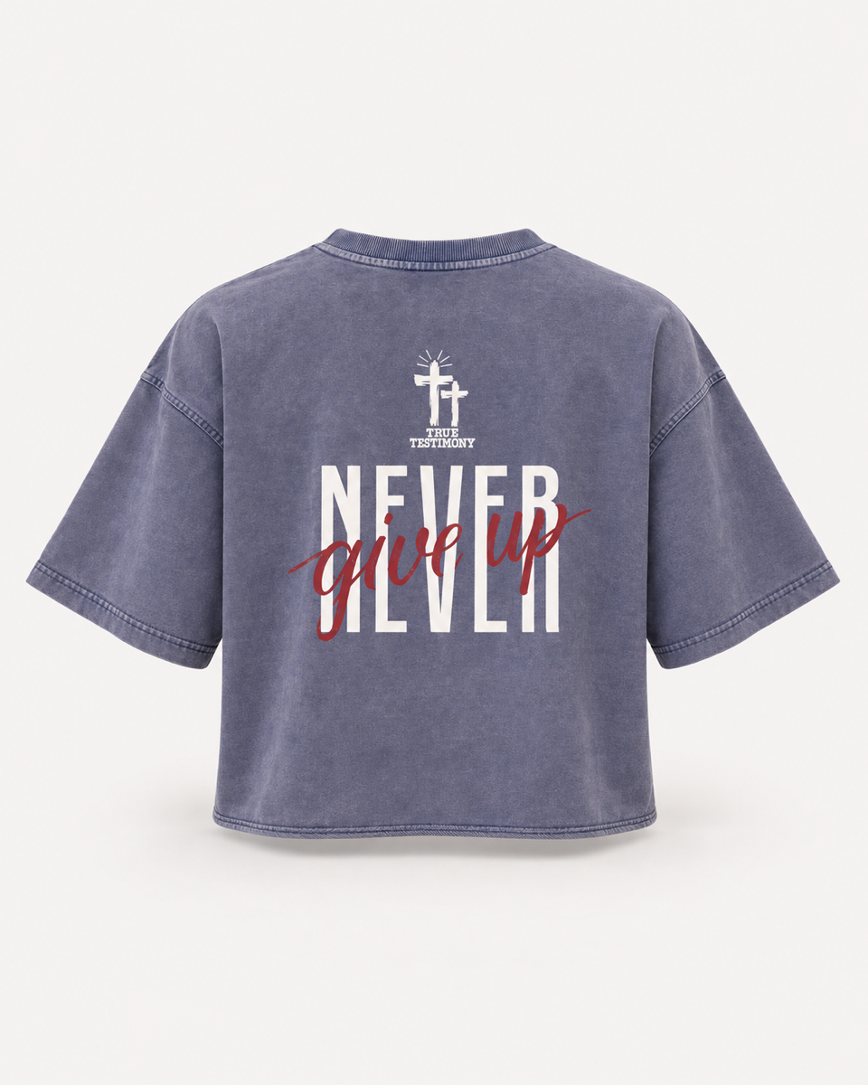 Steel Blue - True Testimony Washed Oversized Cropped T-Shirt - Back